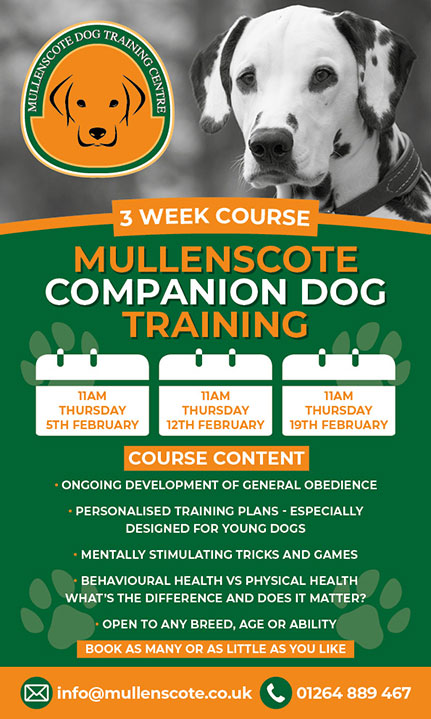 Companion Courses