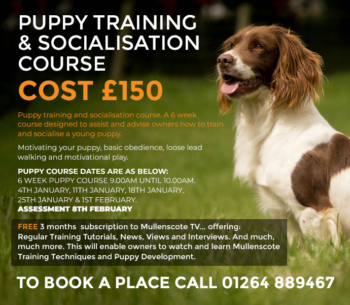 brand new puppy training and socialisation course